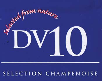 DV10 Dry Wine Yeast (8 g)