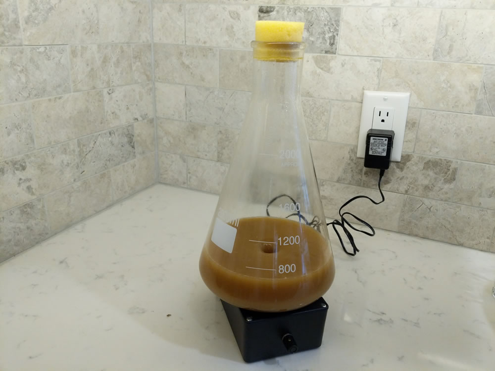 How to Make a Beer Yeast Starter