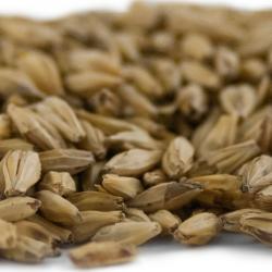 Briess Carapils® (Dextrine) Malt