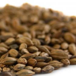 Crisp Brown Malt