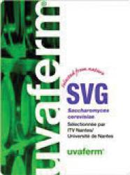 Dry Wine Yeast - Uvaferm SVG (500 g)