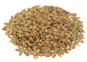 Aromatic Malt 1 lb Milled