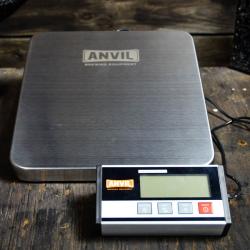 Anvil Large Grain Scale