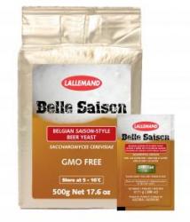 Dry Yeast - Belle Saison (11 g)