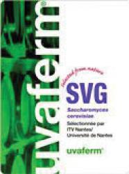 Dry Wine Yeast - Uvaferm SVG (80 g)
