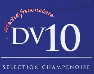 DV10 Dry Wine Yeast (80 g)